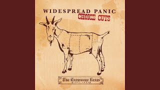 Video thumbnail of "Widespread Panic - Chilly Water"