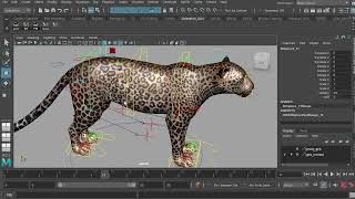 Introduction to the Leopard Rig by Truong