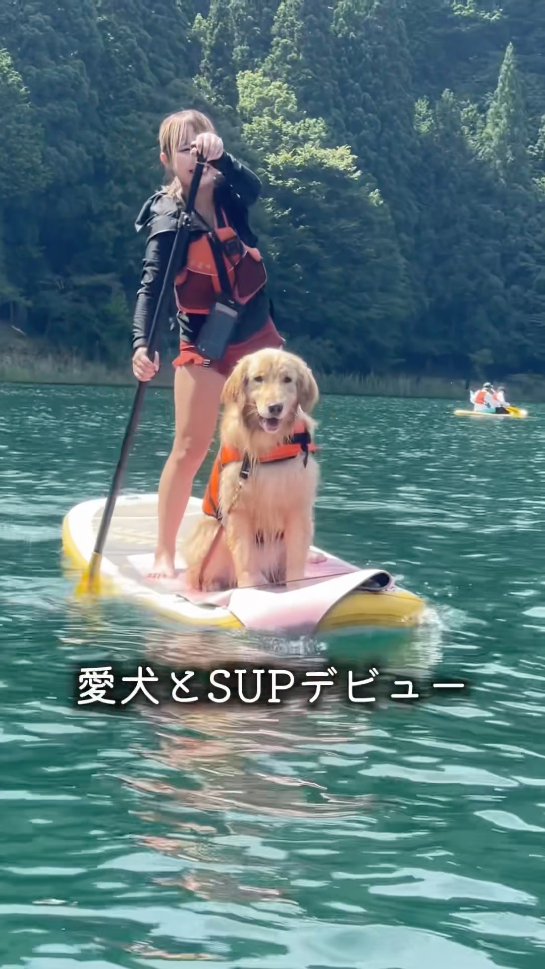 おにゅこじハウス - YouTube