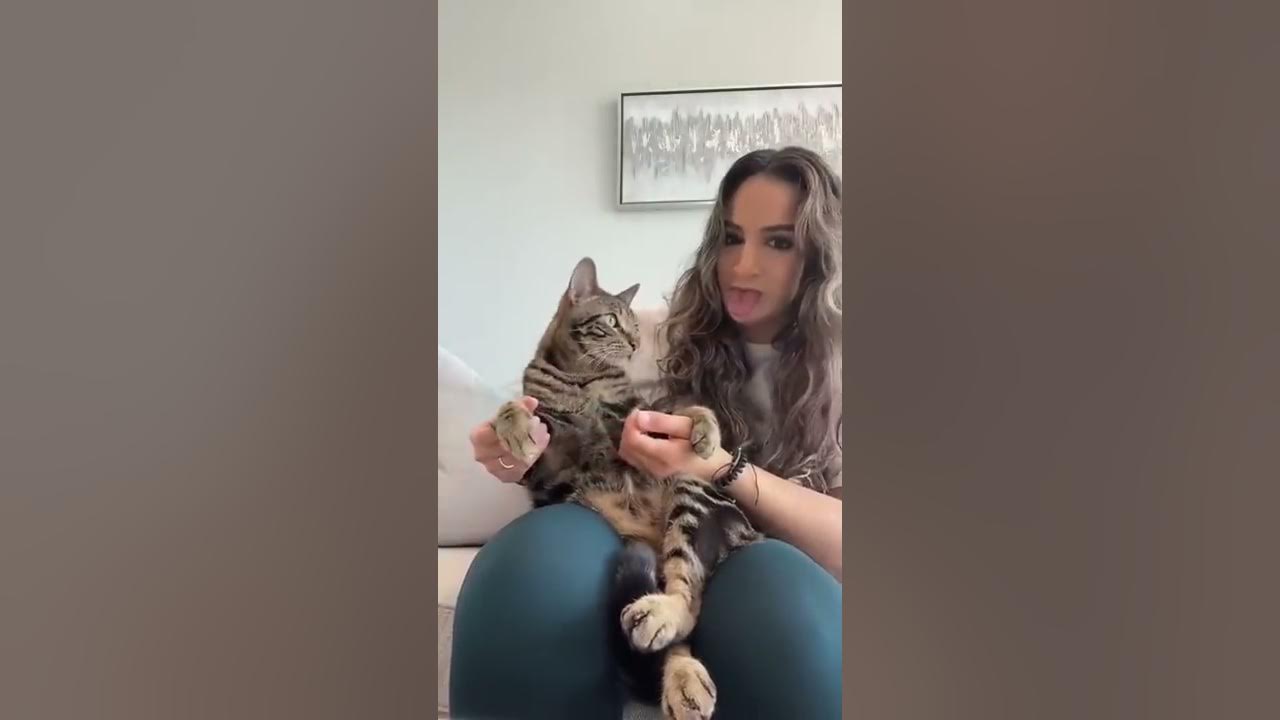 Woman pranks cats, their reaction is priceless. Watch funny clip