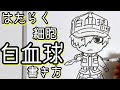 [最も選択された] はたらく 細胞 イラスト 191861-はた��く細胞 イラスト かわいい