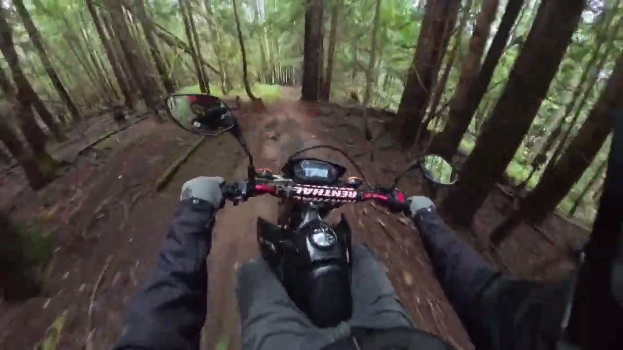 CRF250L trail ride and small wipe out insta360x4