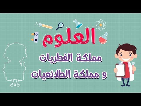 العلوم | مملكة الفطريات و مملكة الطلائعيات