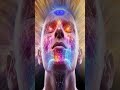 963 Hz + 852 Hz, Pineal Gland Activation