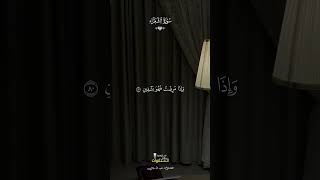 Heavenly Voice Deep Soul Healing Calming Quran Recitation for Sleep #HolyQuran #Healing