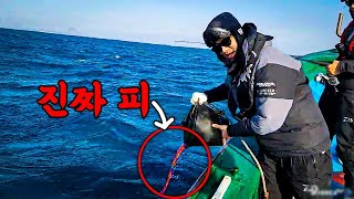 [EPIC CATCH] Luring Sharks By Pouring "BLOOD" in The Middle Of The Ocean!! Let's Go Fishing!!