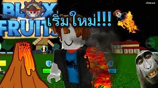 เริ่มใหม่ในBlox fruit|EP.1