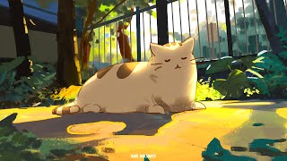 3 Hour | Lofi Hip Hop Chill Music for Stress Relief and Relaxing | it's you in my heart