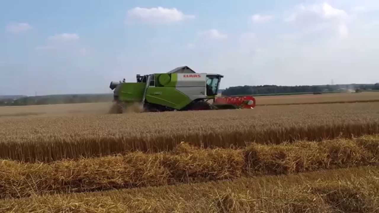 Claas Tucano 450 Mähdrescher bei der Ernte 2014