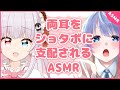 【ASMRコラボ】きみのことが大好きな少年からお耳を支配されるASMR【囁き/耳ふー/耳舐め/ショタボ】