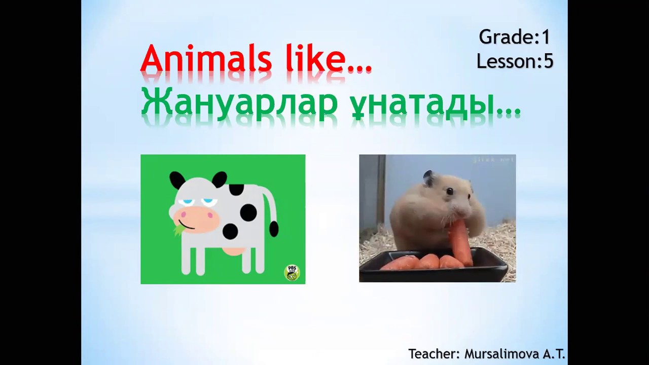 Do they like animals. What can animals do 2 Grade. Like animals. Animals i like. Do you like animals.
