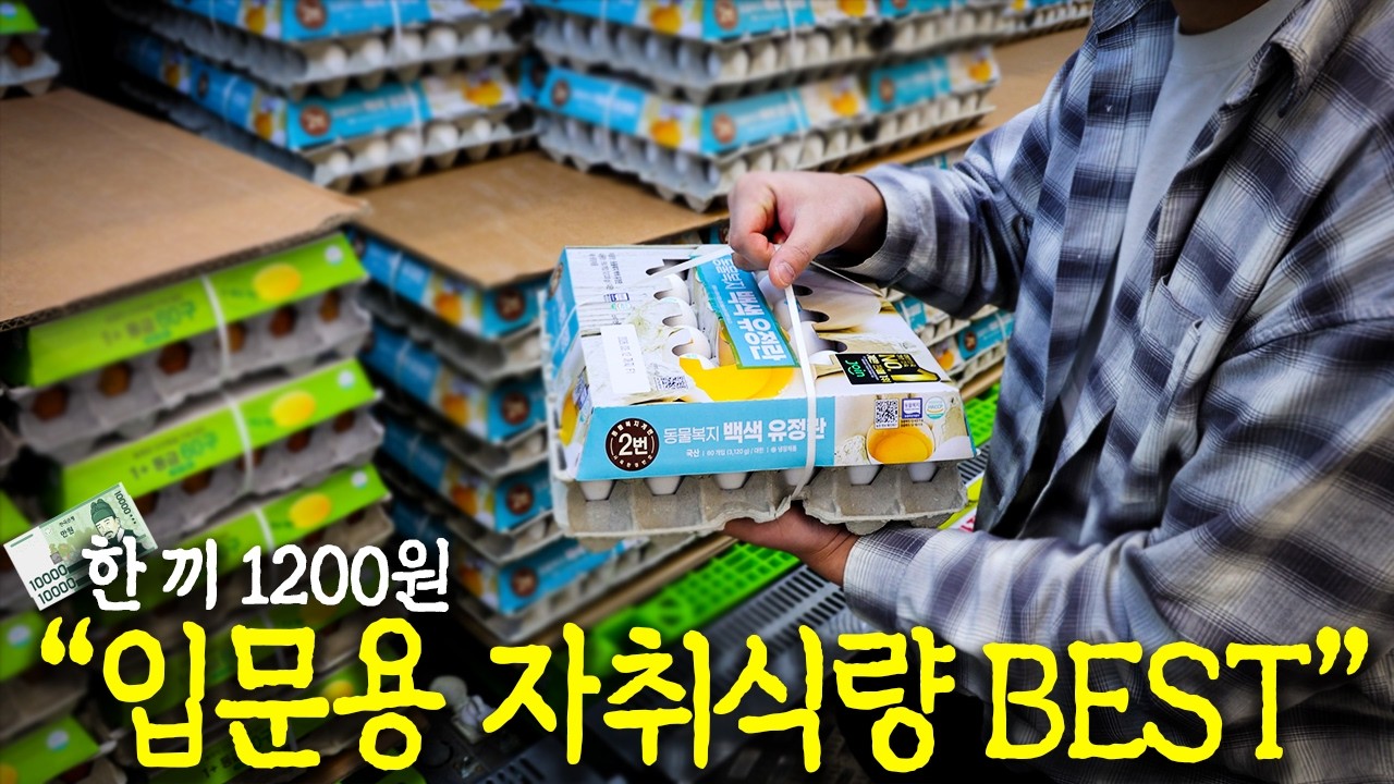 고물가 시대에서 꼭 필요한 절약형 생존법