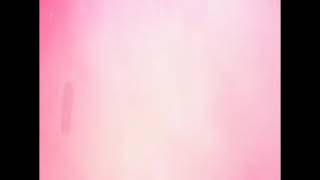 New Intronakakapagodby Nicole Vlogs