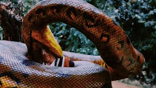 Foolhardy Attempt To Capture 100ft Anaconda Ends In Disaster - Devoured Whole!