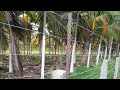 ಸೌರ ಬೇಲಿ ತಂತಿ ಎತ್ತರಿಸುವ ಶಾಶ್ವತ ವಿಧಾನ solar fenceing line height method 93806 03801,94809 03110(WhA)