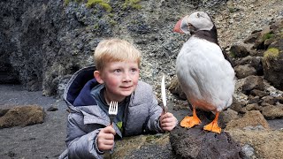 5 Day Iceland Adventure - Eating Puffin, Whale & Shark