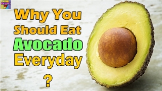 Why Should You Eat Avocado Everyday | Health Benefits of Avocado - 2017 NEW