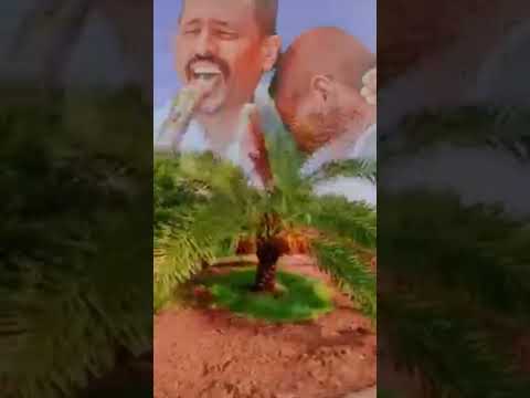 النصري سايب أهلك ونخلك