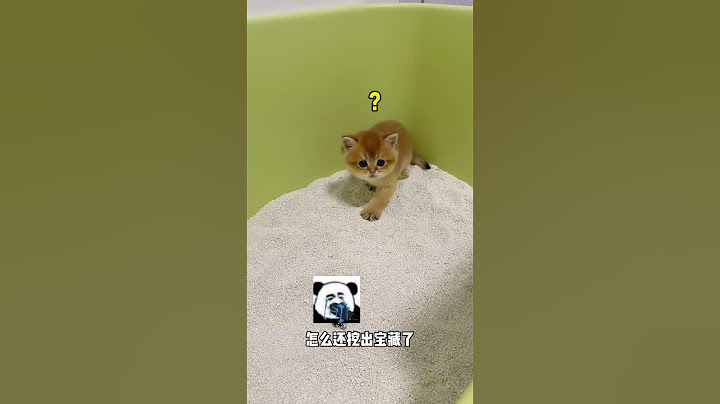 【牛奶是只猫】又一个傻猫诞生了...