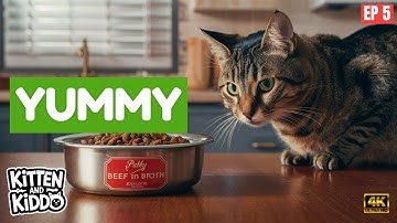 The REAL Secret to Getting Your Cat to Eat