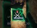 The Muslim Brotherhood 