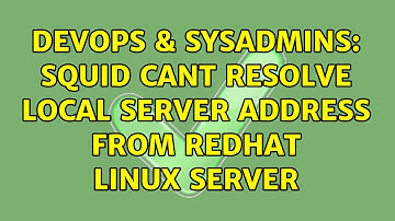 DevOps & SysAdmins: Squid cant resolve local server address from RedHat Linux Server