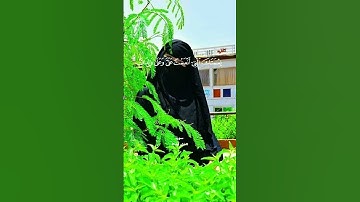 تلاوة خاشعة لسورة النمل #اكسبلور #اكسبلورهاشتاقات #اهميه #دويتو #لايك #الرمال #duet #المراه