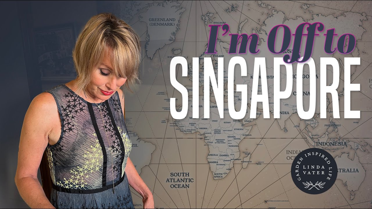 I'm Off to Singapore. What to Wear? YouTube