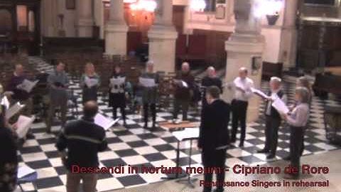 Descendi in hortum meum (opening) - Cipriano de Rore