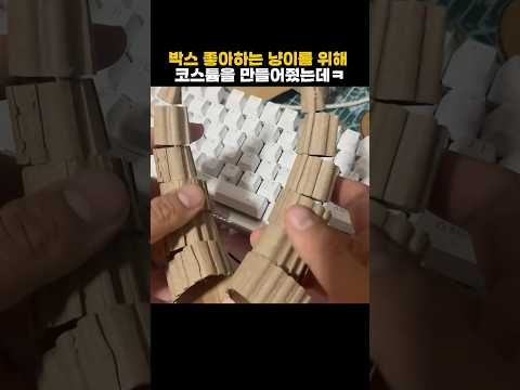 박스 좋아하는 고양이를 위해 코스튬을 만들어줬는데 thumbnail