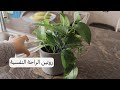 جهزي بيتك معي لتبدئي الأسبوع الجديد ببيت نظيف ورايق القهوة التركية برغوة كيكة البرتقال جهزي بيتك معي لتبدئي الأسبوع الجديد ببيت نظيف ورايق القهوة التركية برغوة كيكة البرتقال