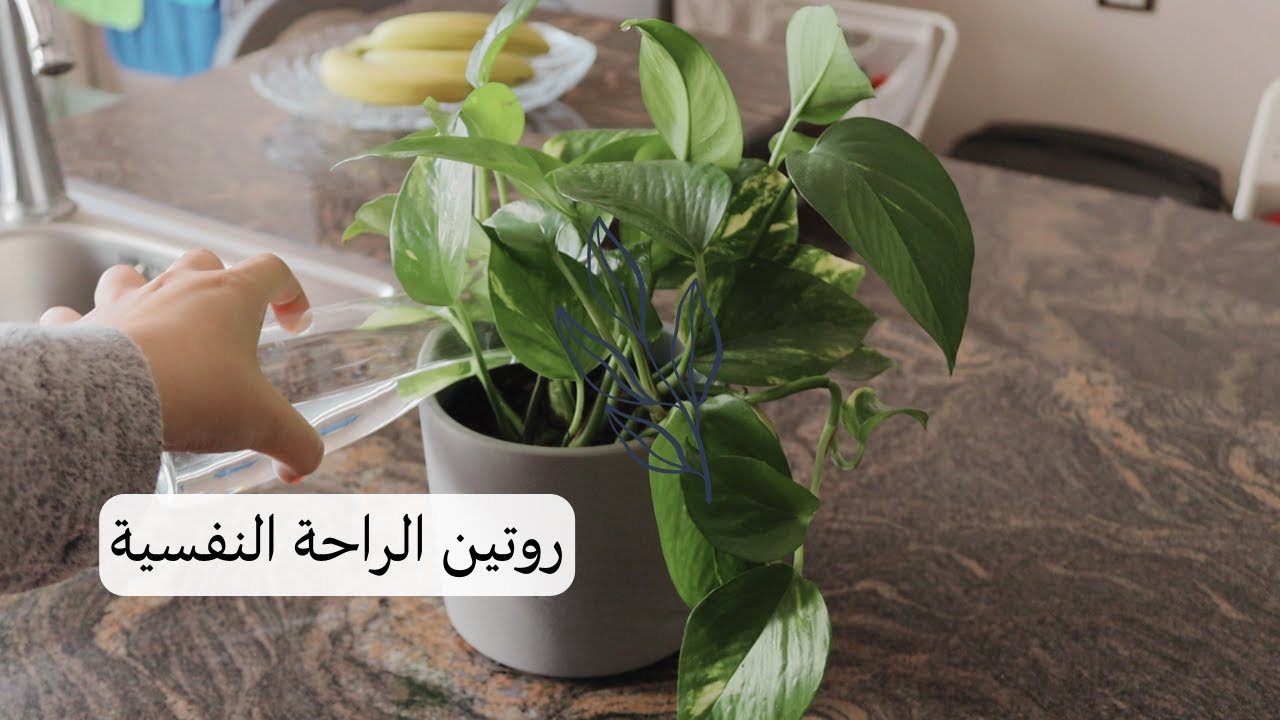 جهزي بيتك معي لتبدئي الأسبوع الجديد ببيت نظيف ورايق🧽🧹| القهوة التركية برغوة☕️| كيكة البرتقال🍰