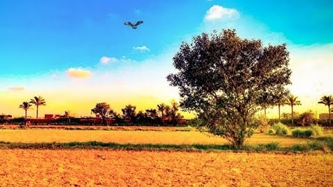 تلاوة من سورة الأنعام 🌴🥬
