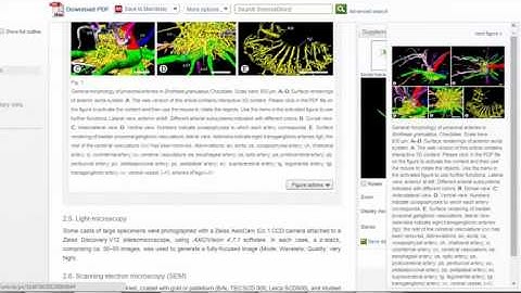 Science Direct tutorial