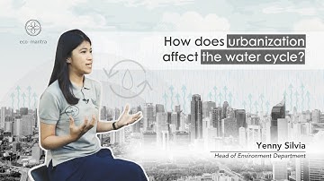 How does urbanization affect the water cycle?