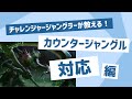 [フィドル解説]多くの人が悩まされるカウンタージャングルの対策。今回は序盤からつらい状況での立ち回りなどを解説！　ジャングル　フィドルvsヴェルヴェズ　 [League of Legends]