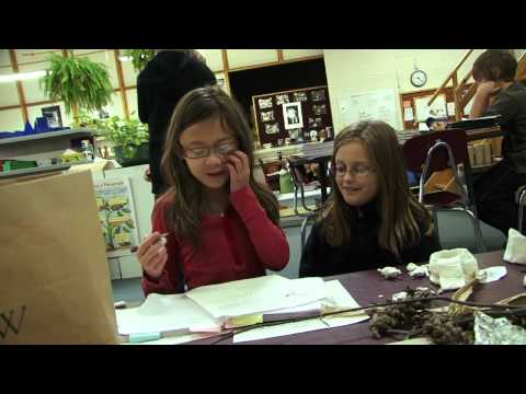 Alexandria Montessori School
