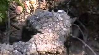 Zosuv Pôdy Pod Kopaninou 2010
