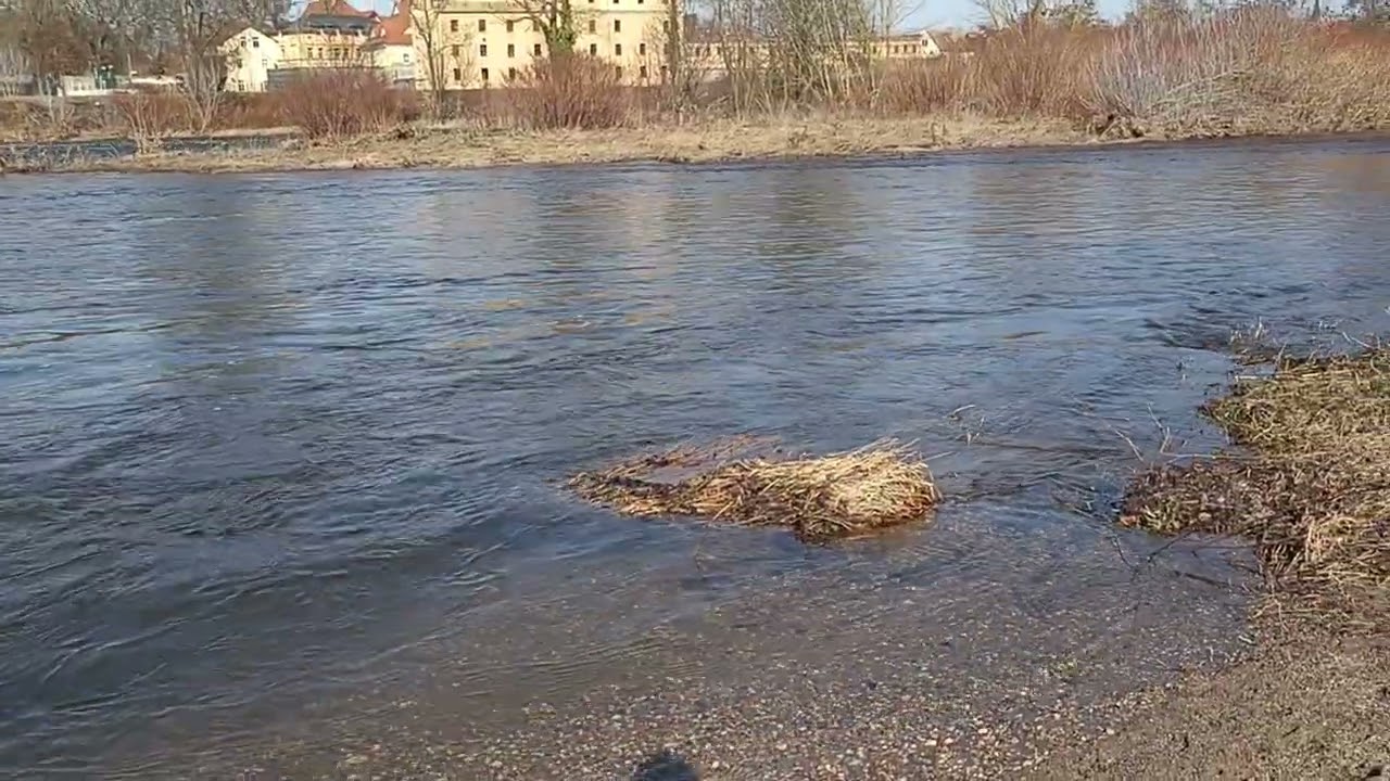 Update Wasser Mulde im Frühling bis ca.18 Grad 🌞🌞☀️🌞🌞Am 28.2.2026 