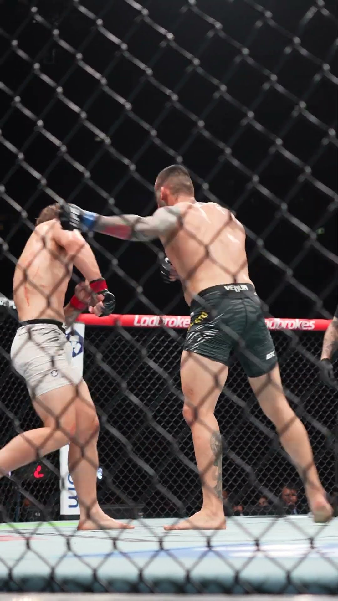 Crute vs Bellato ends in a draw ? #UFC312