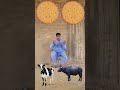 Cow Buffalo Goat Lion unrevealing with magic #vfx #viralvideo #shortsfeed #shortvideo #shorts #chall