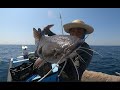 PESCANDO MONSTRUOS MARINOS, en la pesca con SIMBRA