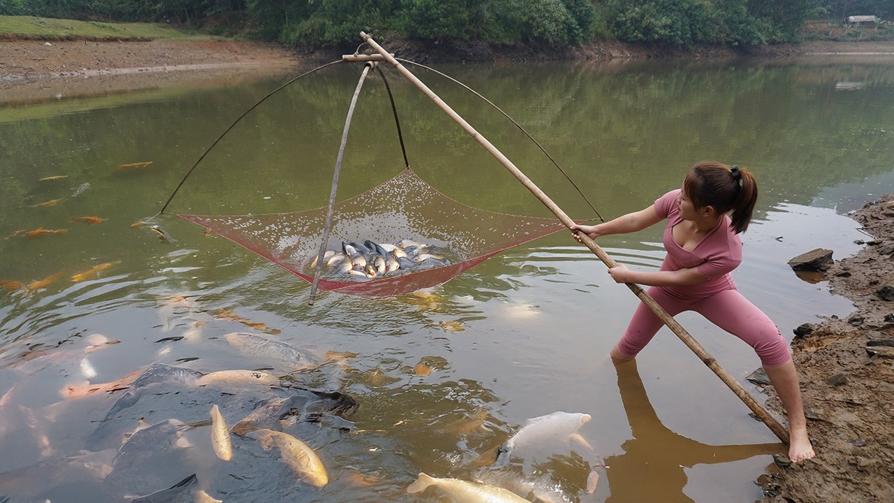 Invisible Hunters: Catching Giant "River Dragons" with Only Lift Net