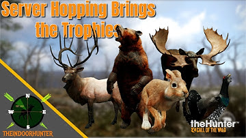 500+ Elk, Diamond Hare and more while server hopping