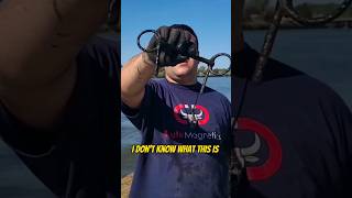 Magnet Fishing In Saginaw Mi Never Dissapoints magnetfishing horse saginaw michigan fishing