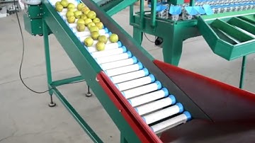 How to grade passion fruit, apple by using automatic grading machine