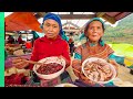 Tribal vietnam the food and lifestyle of vietnams unknown mountain people