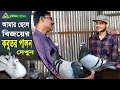 703-এবার আমার ছেলে বিজয়ের কবুতর পালন দেখুন Now watch my son Bijoy's pigeon keeping Chitrapuri Krishi