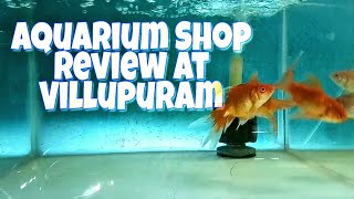 AQUARIUM SHOP REVIEW AT VILLUPURAM | BASHA BAI AQUARIUM FISH & PET SHOP | CALEB KINGDOM