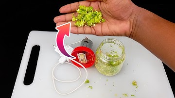 Make Your Own Chilli Cutter Machine with a DC Motor